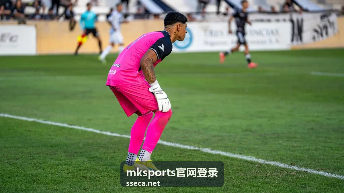 mksports官网登录页面背景展示