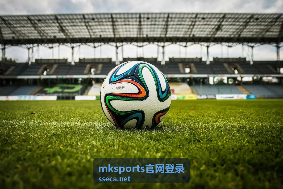 mksports官网登录入口步骤说明配图