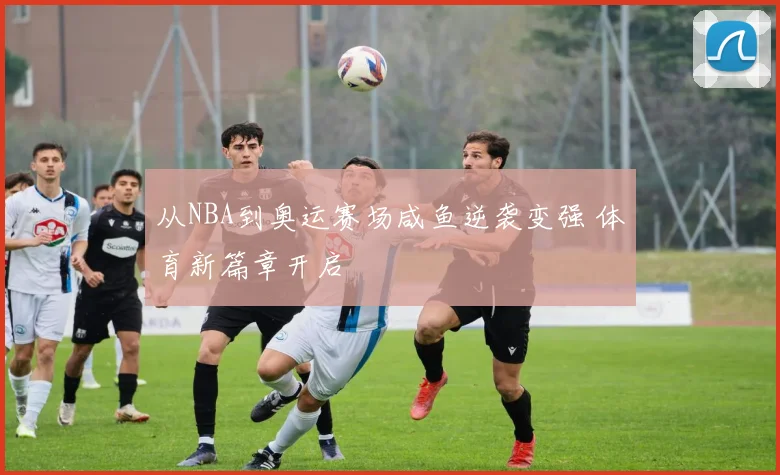 从NBA到奥运赛场咸鱼逆袭变强 体育新篇章开启