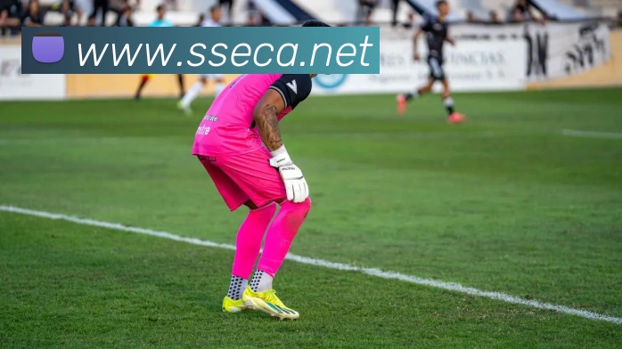 易倍emc官方APP 封面图